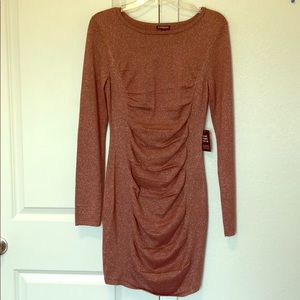 Express long sleeved sweater dress size medium NWT